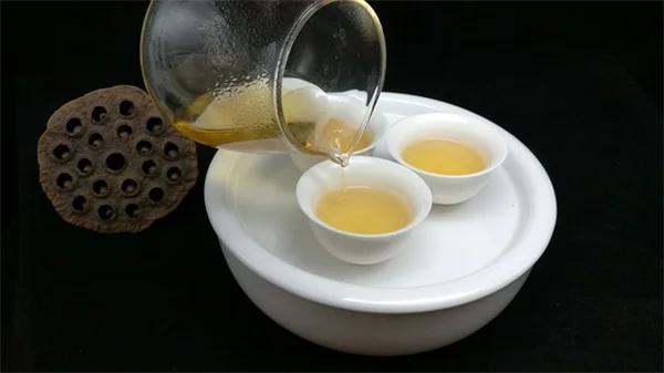 【プロが教える】冬の観葉植物、もうやらないで！初心者でも簡単に実践できる5つの失敗と対策