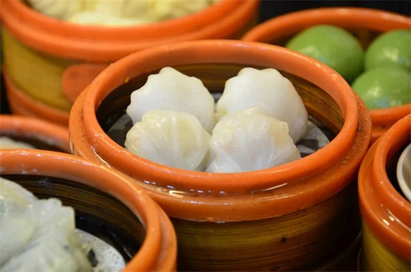 無トゲバラってある？おすすめ品種と育て方のコツ