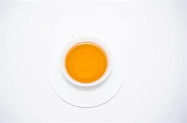 無トゲバラってある？おすすめ品種と育て方のコツ