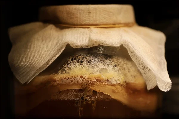 イチゴの病気、見分け方は？家庭菜園で実践する7つのポイント