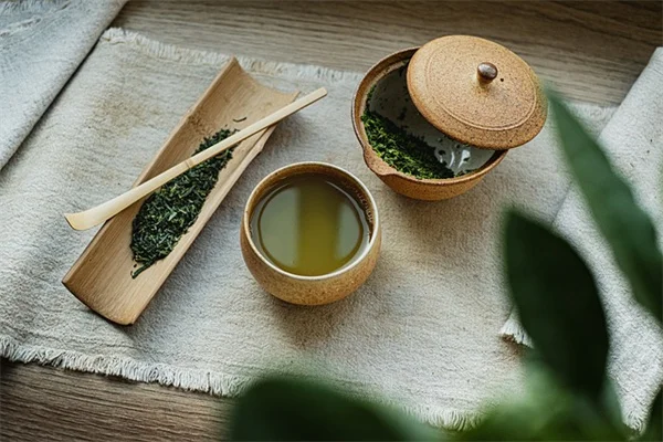 ビーバー池の管理術：生態系を守る3つの実践ポイント