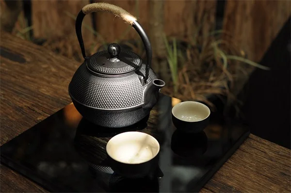 秋植えハーブで冬も楽しむ！おすすめ8選と育て方のコツ