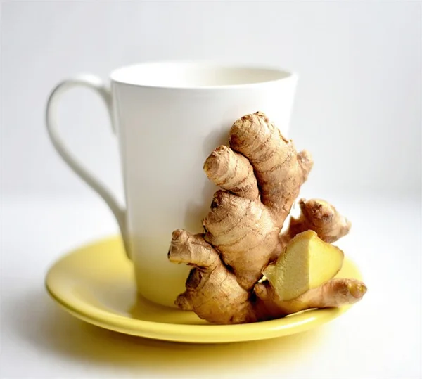 無泥炭堆肥で収穫量1.5kg！プロが教える理由と実践法