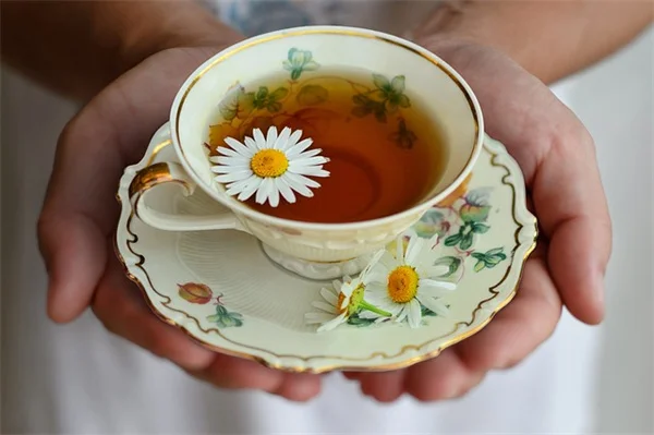 秋の芝生ケア、絶対にやっておくべき理由と具体的な手順をプロが解説